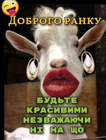Анекдот у картинці №1333
