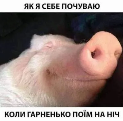 Анекдот у картинці №1344