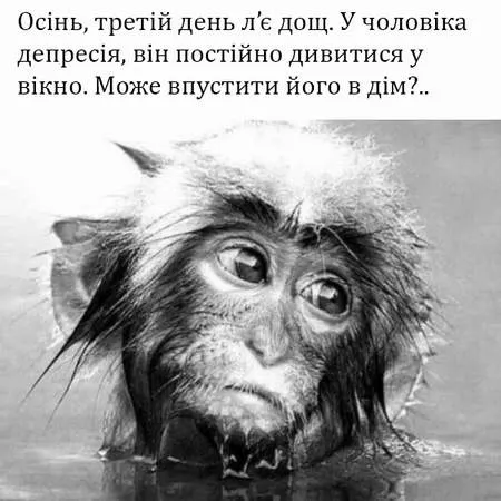 Анекдот у картинці №1356