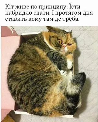 Анекдот у картинці №1366