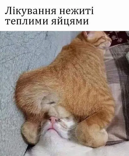 Анекдот у картинці №1377