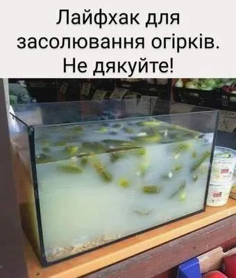 Анекдот у картинці №1439