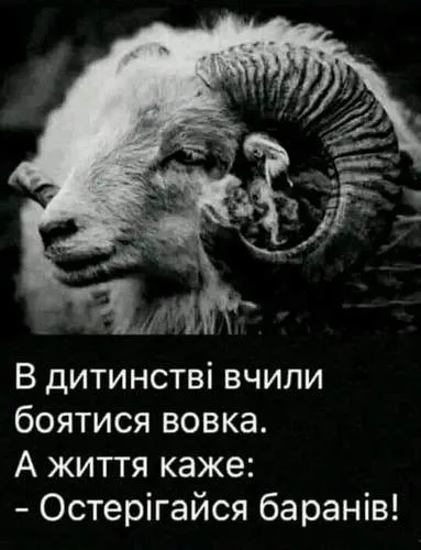 Анекдот у картинці №1447