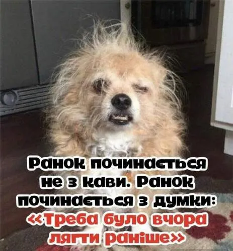 Анекдот у картинці №1458