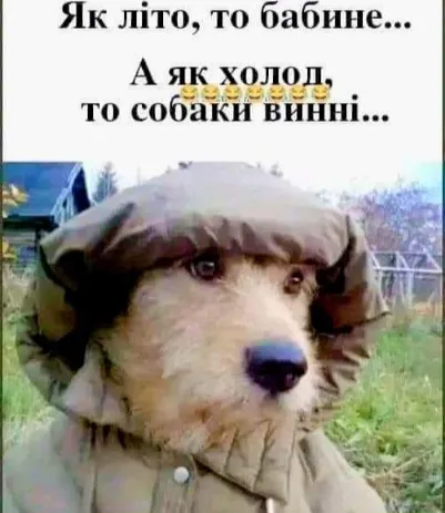 Анекдот у картинці №1479