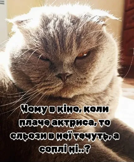 Анекдот у картинці №1491