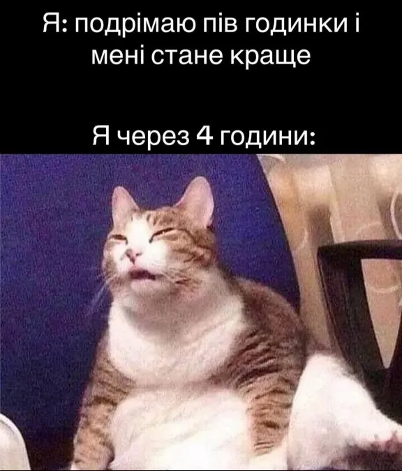 Анекдот у картинці №1519