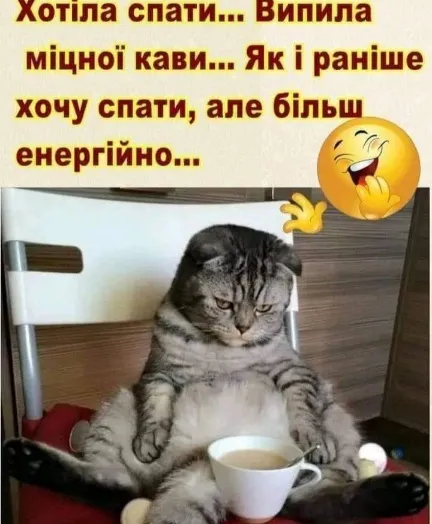 Анекдот у картинці №1526