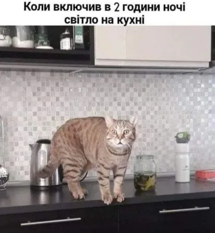 Анекдот у картинці №1531