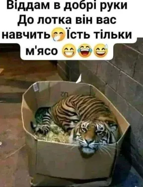 Анекдот у картинці №1542