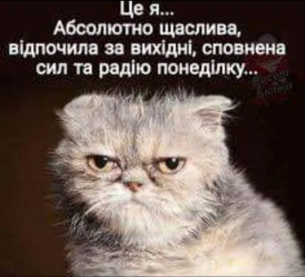 Анекдот у картинці №1552