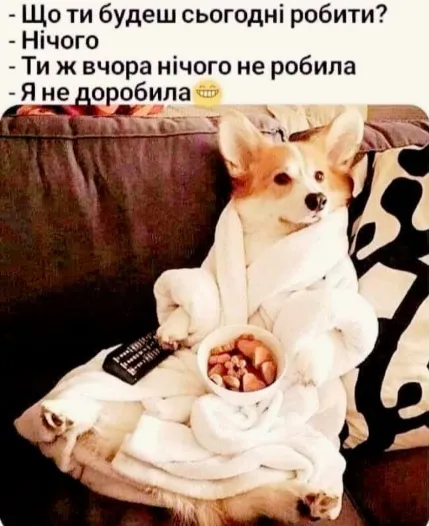 Анекдот у картинці №1682
