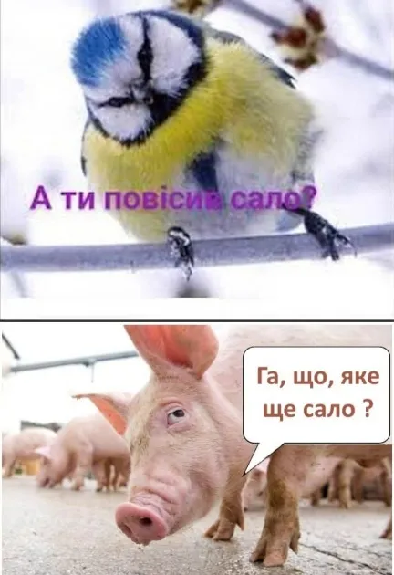 Анекдот у картинці №1684