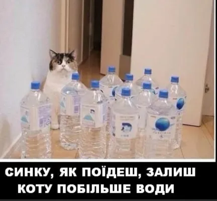 Анекдот у картинці №1740