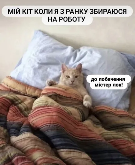 Анекдот у картинці №1760