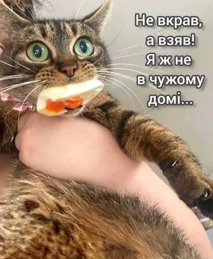 Анекдот у картинці №1769