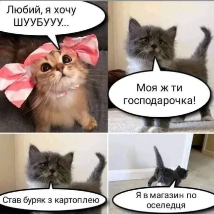 Анекдот у картинці №1794