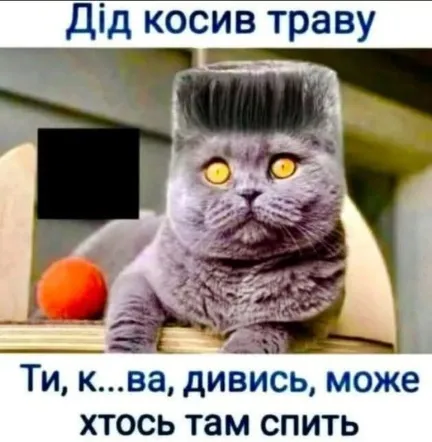 Анекдот у картинці №1803