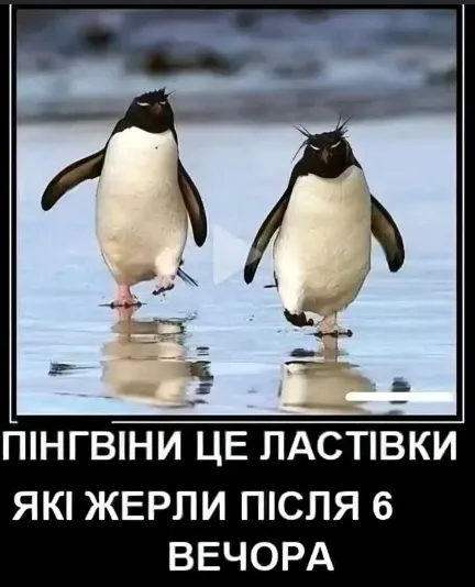 Анекдот у картинці №1830