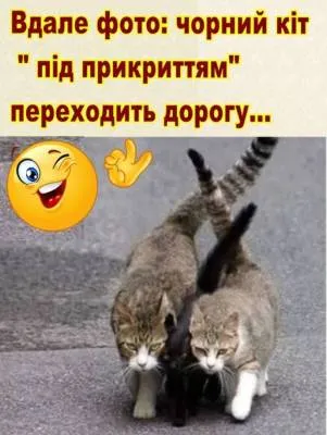 Анекдот у картинці №1856