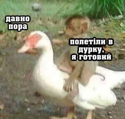 Анекдот у картинці №1864
