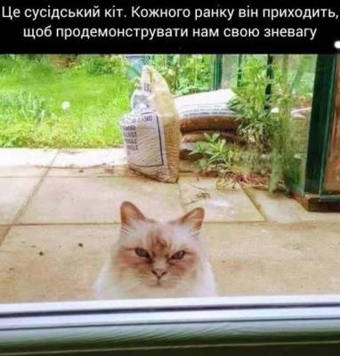 Анекдоти в картинках