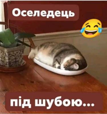 Анекдоти в картинках