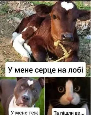 Анекдот у картинці №1947