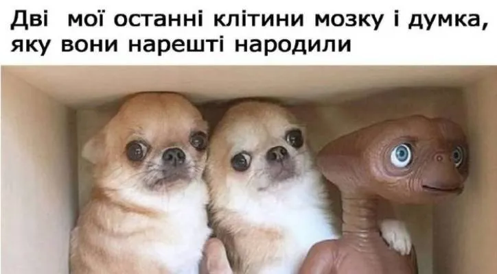 Анекдот у картинці №1958