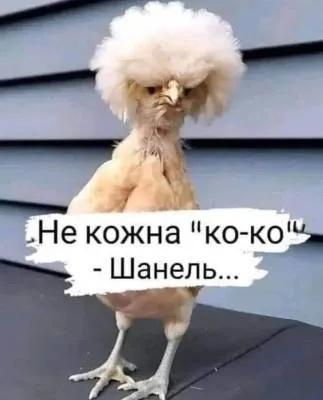 Анекдот у картинці №1990
