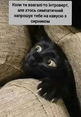 Анекдот у картинці №2021