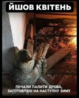 Анекдот у картинці №2031