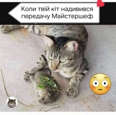 Анекдот у картинці №2043