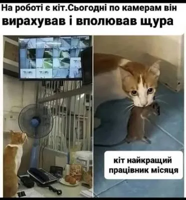 Анекдот у картинці №2044
