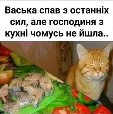 Анекдот у картинці №2046