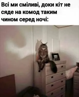 Мем №2062