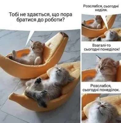 Анекдот у картинці №2063