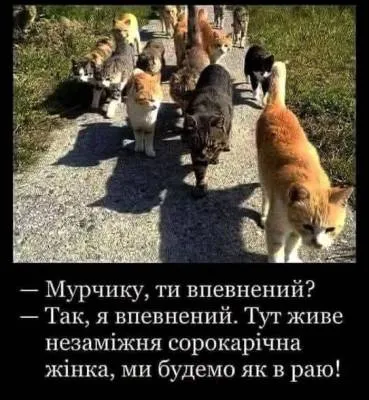 Анекдот у картинці №2068