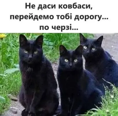 Анекдот у картинці №2070