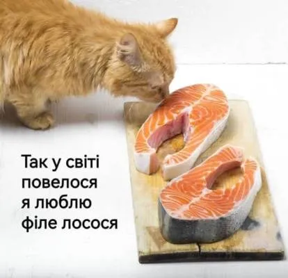 Анекдот у картинці №2072