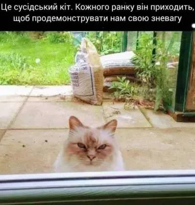 Анекдот у картинці №2093