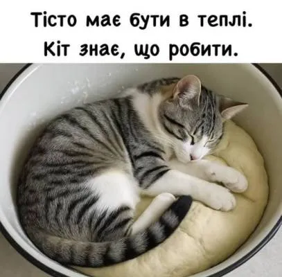 Анекдот у картинці №2102