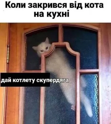 Анекдот у картинці №2107