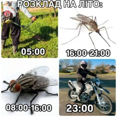 Анекдот у картинці №2111