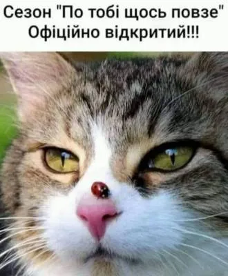 Анекдот у картинці №2118