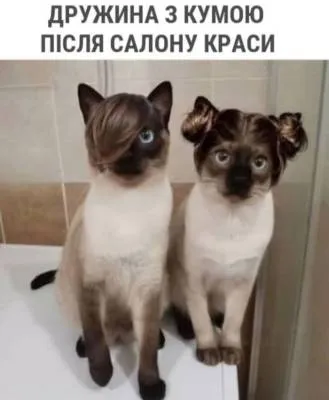 Анекдот у картинці №2121