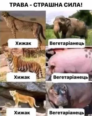 Анекдот у картинці №2128