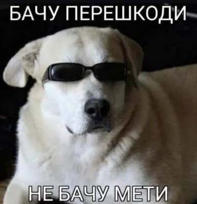 Анекдот у картинці №2134