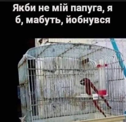 Анекдот у картинці №2148
