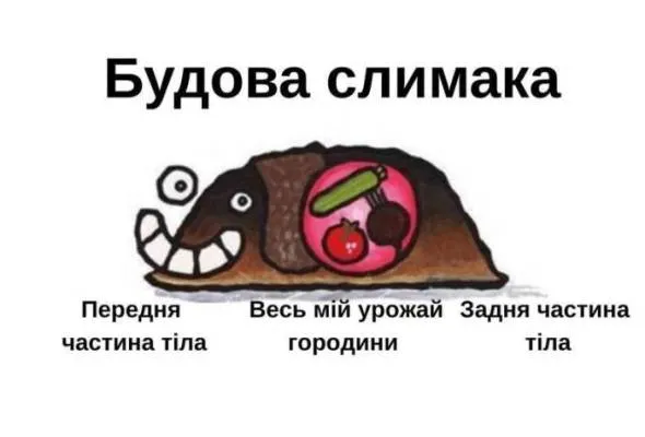 Анекдот у картинці №2167